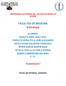 Preguntas Embriología