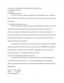 Plan de Marketing para el lanzamiento del producto “Talco a base de almidón de yuca”