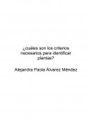 ¿Cuáles son los criterios necesarios para identificar plantas?