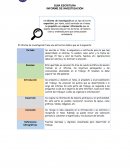 GUÍA ESCRITURA. INFORME DE INVESTIGACIÓN