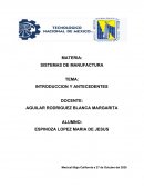 SISTEMAS DE MANUFACTURA. INTRODUCCION Y ANTECEDENTES