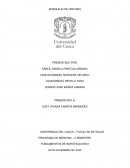 VACACIONES DE LA VECINDAD DEL CHAVO