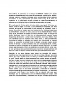 Una mañana de primavera en el bosque de MERLIN