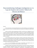Neuromárketing: hallazgos inteligentes en la “caja de Pandora del cerebro”Alberto M. Álvarez del Blanco