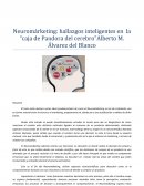 Neuromárketing: hallazgos inteligentes en la “caja de Pandora del cerebro”Alberto M. Álvarez del Blanco