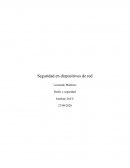 Seguridad en dispositivos de red