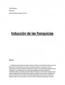 Inducción de las franquicias