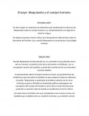 Ensayo: Maquiavelo y el cuerpo humano