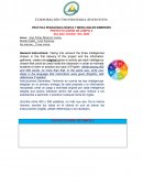 PRÁCTICA PEDAGÓGICA BÁSICA Y MEDIA INGLÉS INMERSIÓN