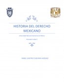 HISTORIA DEL DERECHO MEXICANO