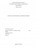 Avances de la biotecnología en la medicina veterinaria