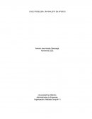 CASO PROBLEMA UN ANALISTA EN APUROS