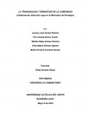 LA TRANQUILIDAD Y BIENESTAR DE LA COMUNIDAD