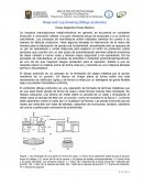 Embutido profundo/ deep and cup drawing
