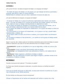 ¿Por qué en Fórmula 1 se habla de equipos de trabajo y no de grupos de trabajo?