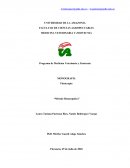 Fitoterapia “Método Homeopático”