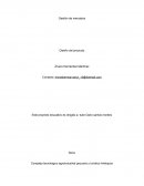 Gestión de mercados Diseño del producto