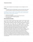 Trabajo práctico de Psicología