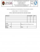 LABORATORIO N° 9: INTERNETWORKING 2