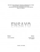 Educacion Ambiental Moderna