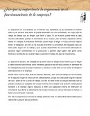 ¿Por qué es importante la ergonomía en el funcionamiento de la empresa ?