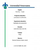 Experiencia educativa: Habilidades del pensamiento