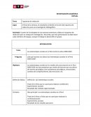 Borrador de redacción sobre racismo