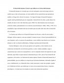 El desarrollo humano: Factores que influyen en el desarrollo humano