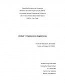 Perspectiva y Desarrollo nacional. UNEFA