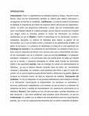 Programa de la biblioteca