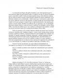 Modelos de Evaluación Psicológica