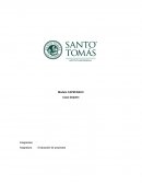 Caso Dolphin. Modelo CAPM