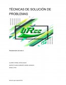 TÉCNICAS DE SOLUCIÓN DE PROBLEMAS