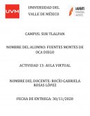 MINUTA DE LA SESIÓN VIRTUAL