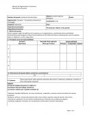 Manual de Organización y Funciones, Descripción de puesto