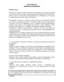 CASO PRÁCTICO ARNESES AUTOMOTRICES