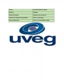 Avance 1 Inteligencia de mercados v2