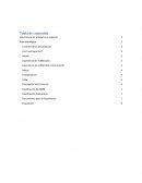 Plan de Negocios por Bimbo