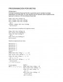 PROGRAMACION POR METAS