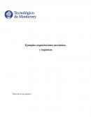 Dirección de los negocios Ejemplos organizaciones mecánicas y orgánicas