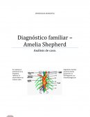 Diagnostico de sistema familiar Amelia Shepherd (grey´s Anatomy)