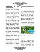 Problema de los cultivos ilicitos