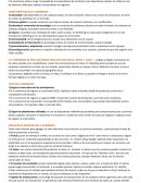 E-commerce - sistema de informacion