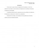 Legalización de la marihuana