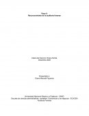 Reconocimiento de la auditoria forense