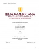 Los Sistemas Teóricos De La Psicología Contemporánea