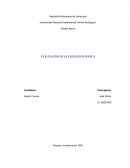 Ensayo de evaluación de los aprendizajes