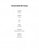Ensayo sobre: Multiculturalismo en el Ecuador