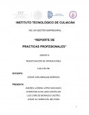 ING. EN GESTIÓN EMPRESARIAL “REPORTE DE PRACTICAS PROFESIONALES”