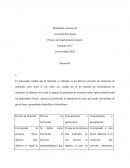 Proceso transformacion minera